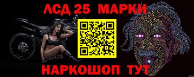 Альфа ПВП Пенза